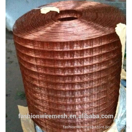 Supplying Copper Wire Mesh